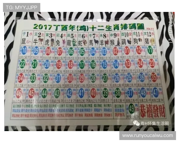 如何选择优质的六合彩国际入口，确保每一次投注都安全顺畅无忧